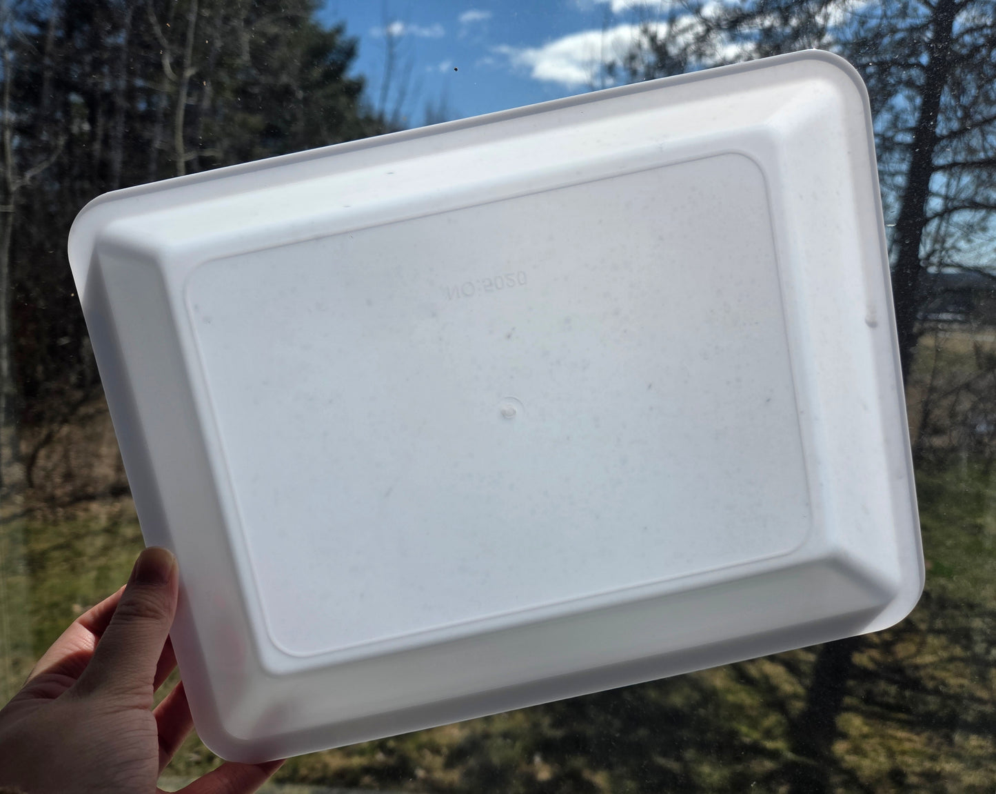 Ocean Sensory Bin